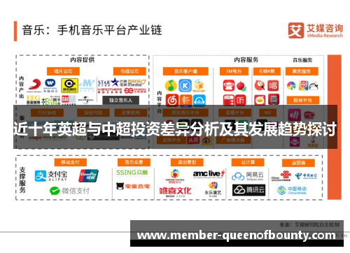 近十年英超与中超投资差异分析及其发展趋势探讨
