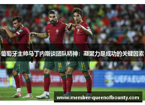 葡萄牙主帅马丁内斯谈团队精神:凝聚力是成功的关键因素 葡萄牙主帅马丁内斯谈团队精神:凝聚力是成功的关键因素
