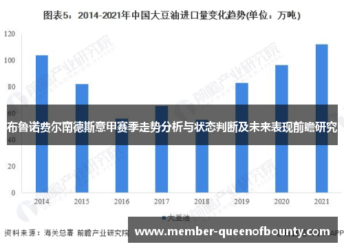 布鲁诺费尔南德斯意甲赛季走势分析与状态判断及未来表现前瞻研究